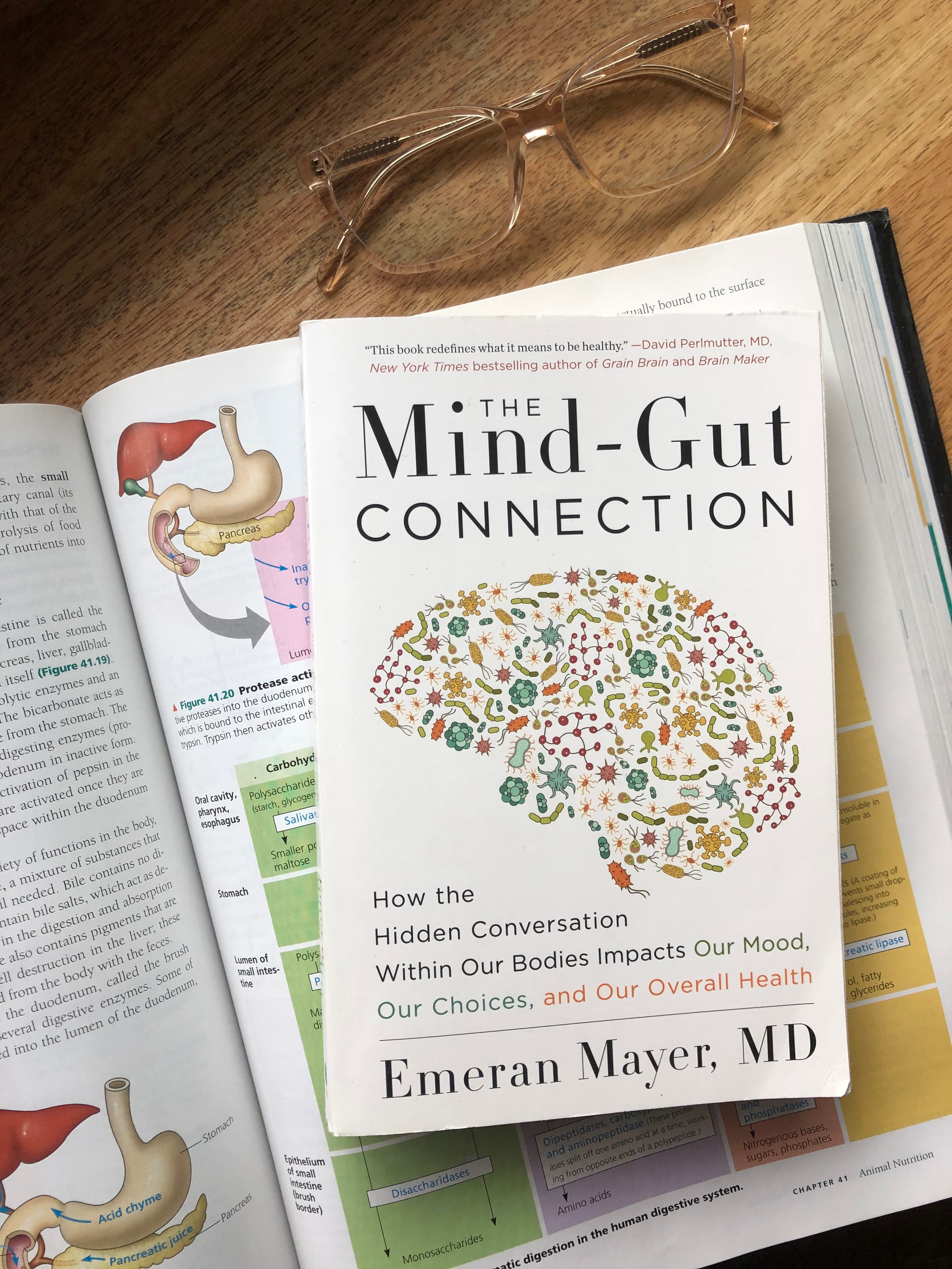 The Gut-Brain Axis: How Your Gut and Mind Are Connected