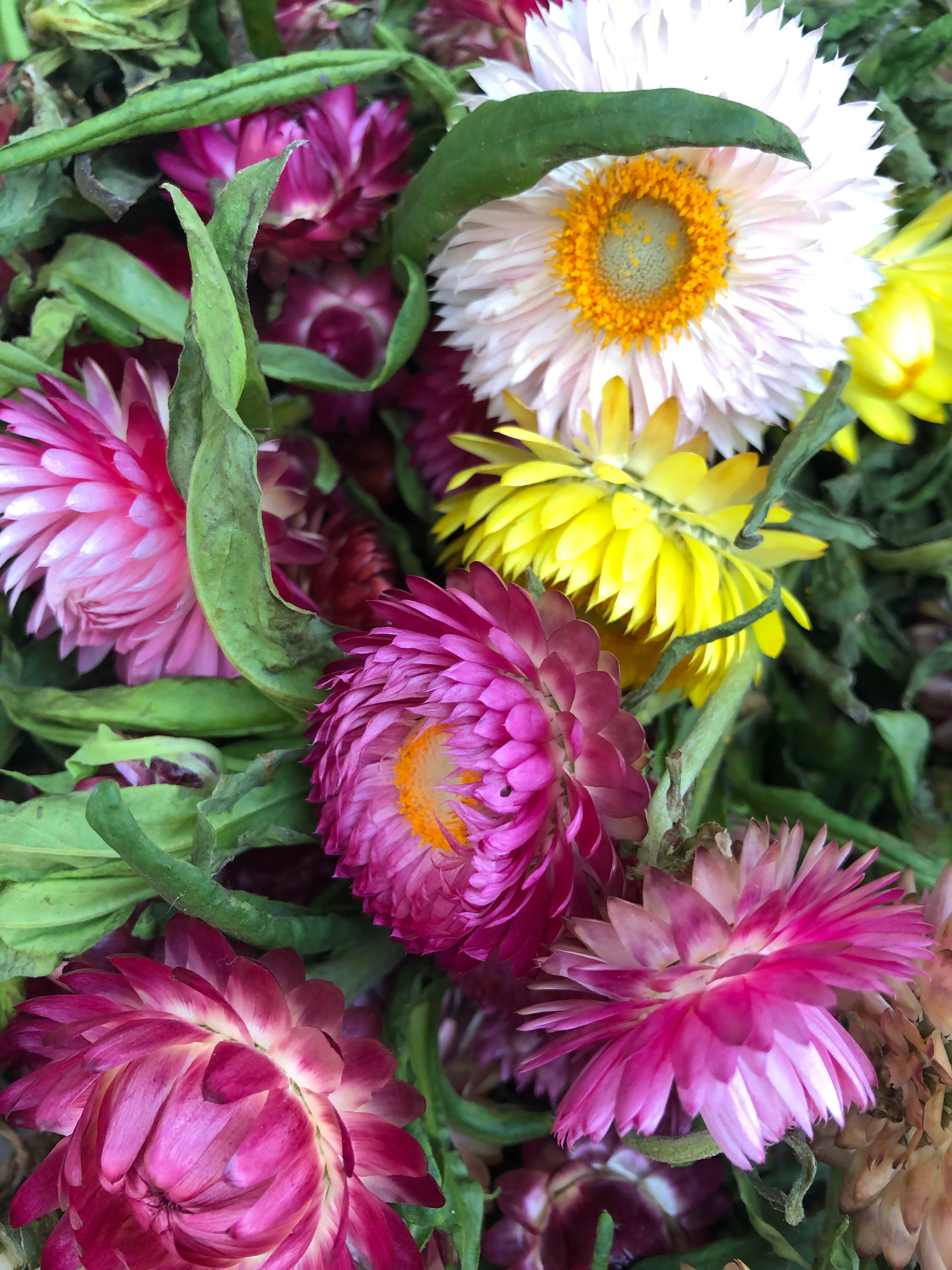 Top Action Steps to Support Hormone Health