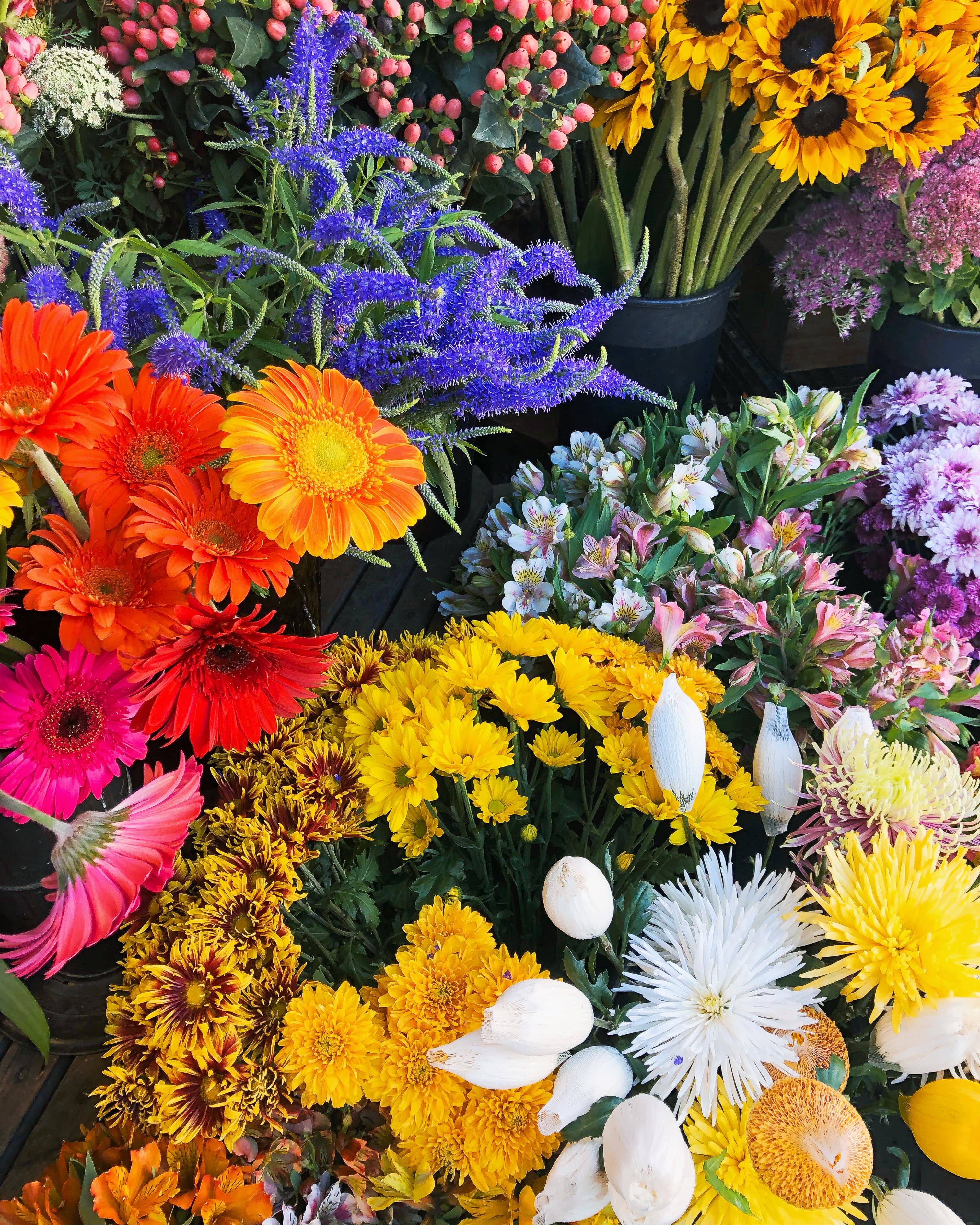 6 Signs Your Hormones May Need Attention