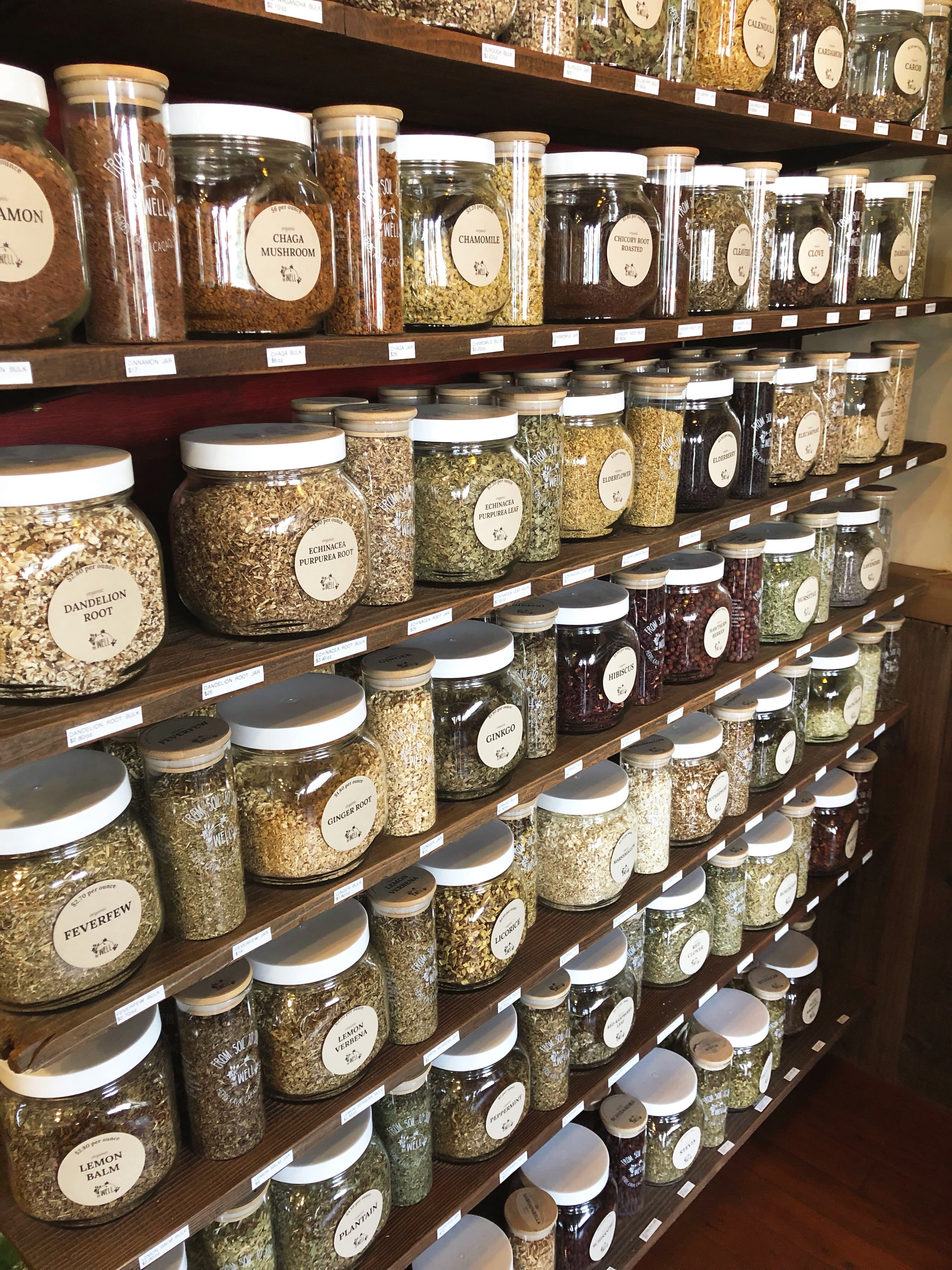 The Best Herbs for Nervous System Support